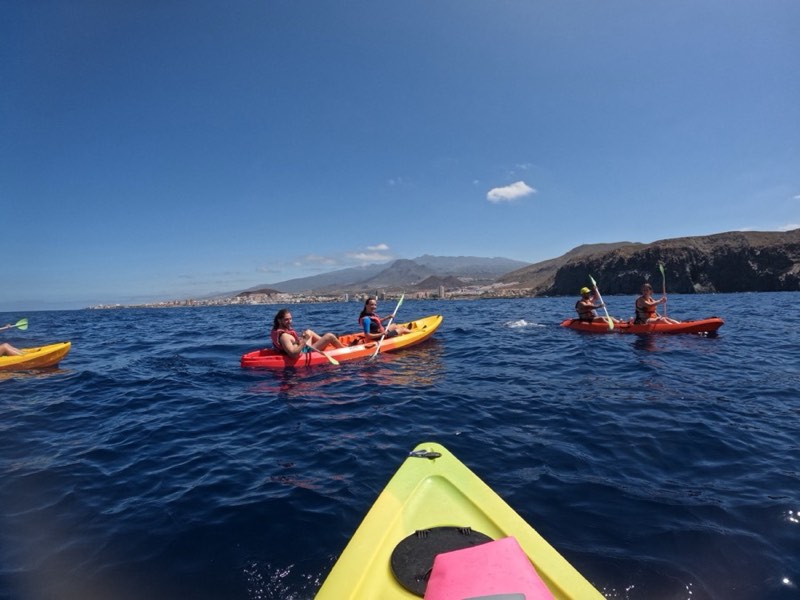 Snorkel en el Acantilado de Guaza, Palm-Mar Tenerife