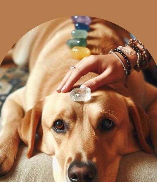 Reiki: Sie und Ihr Haustier